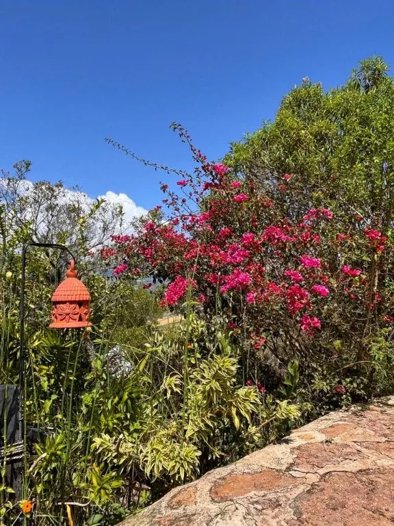 Buganvilia fucsia y farol sobre un muro de piedra, con cielo azul